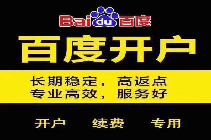 竞价代运营成功案例解析