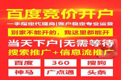 案例解读：SEM代理助力电商销量翻倍